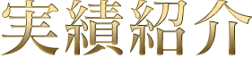 実績紹介